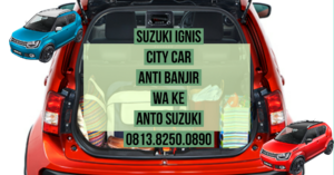 Suzuki Ignis City Car Anti Banjir 2020